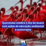 dia-do-guara